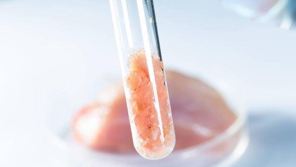 Lab-meat dubbed one of 2023's biggest technology failures