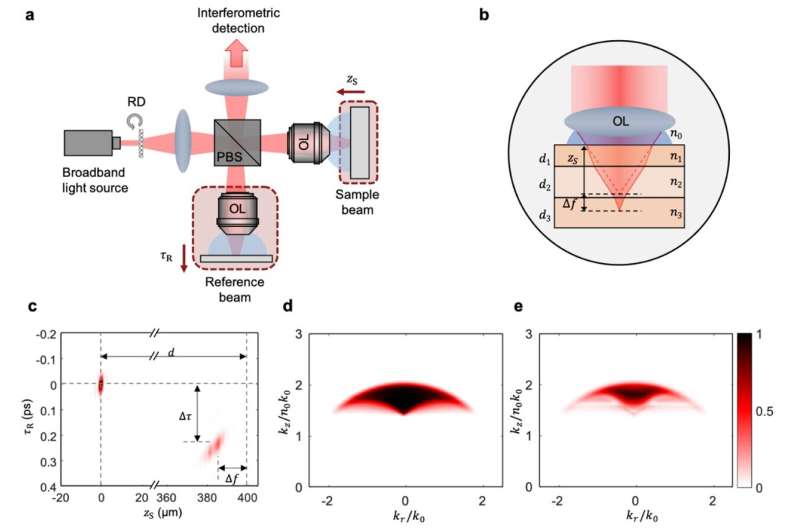 Speckle diffraction tomography reveals nanoscale features in thick biological specimens